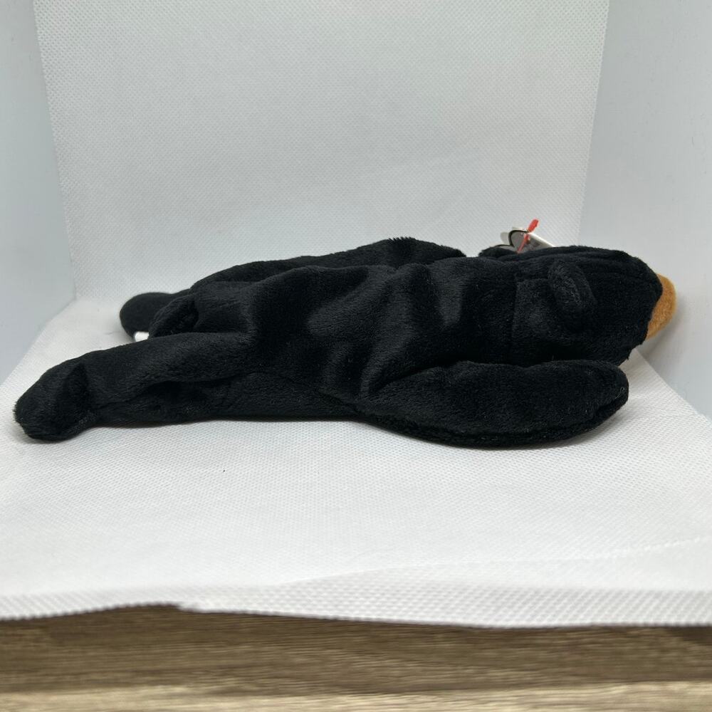 TY BEANIE BABIES BLACKIE the BEAR 1993 Plush Stuffed Animal - Picture 2 of 6